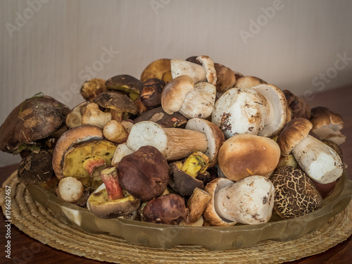 a lot of fresh boletus mushrooms