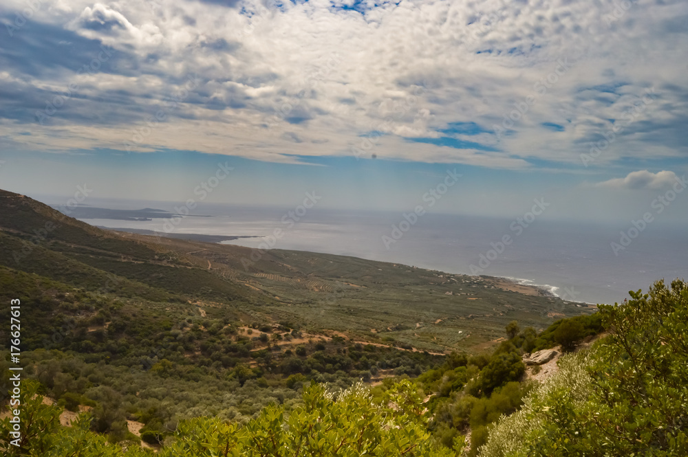 View of the olive groves and ocean