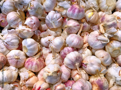 Pile of Fresh Garlic