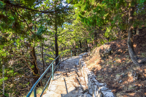 Stone staircase in a pine forest. Sunlight falls on the stone steps