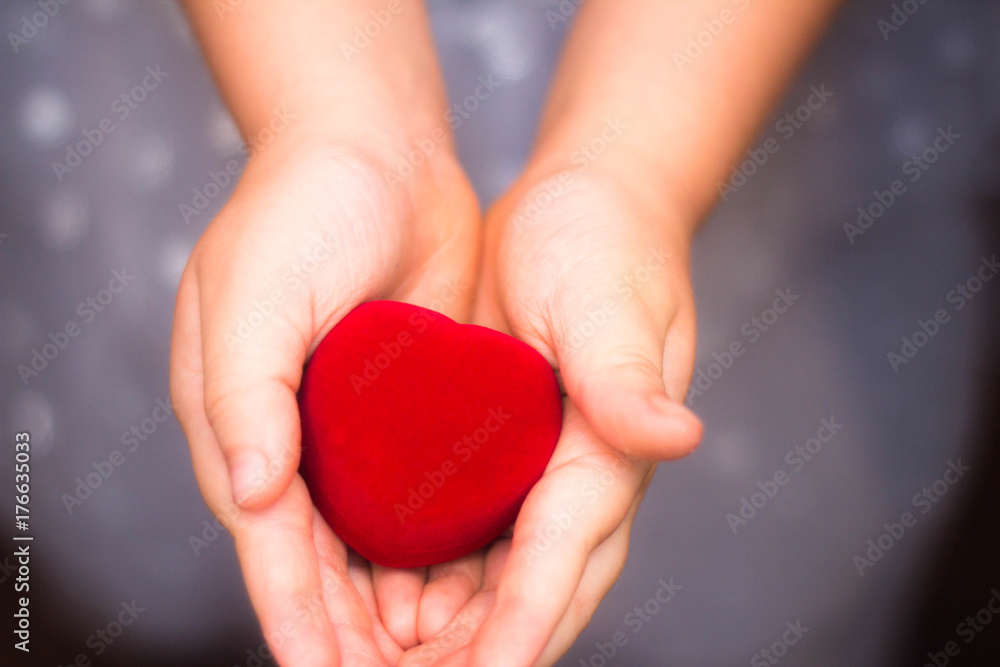 heart in the hands of a little girl heart in the hands of a little girl