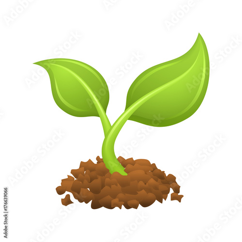Growing Plant - Novo Icons. A professional, pixel-perfect icon designed on a 32 x 32 pixel grid and redesigned on a 16 x 16 pixel grid for very small sizes.