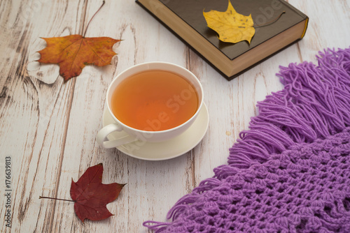 Tea Cup, book, maple leaves and plaid