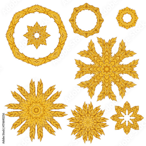 Hand-drawn vector set of ripe and green wheat ears. Elegant and concise clipart on cereals Agriculture, organic food, farming, field, stalk, ear, harvest.