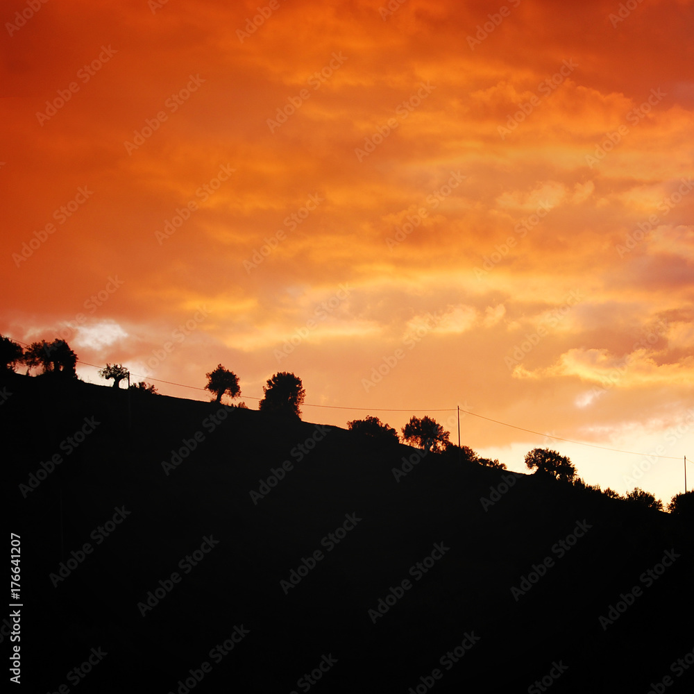 Sunset. Scenic view of Sicily evening. Aged photo. South regions of Italy. Landscape with sunset and trees. Retro filter photo.