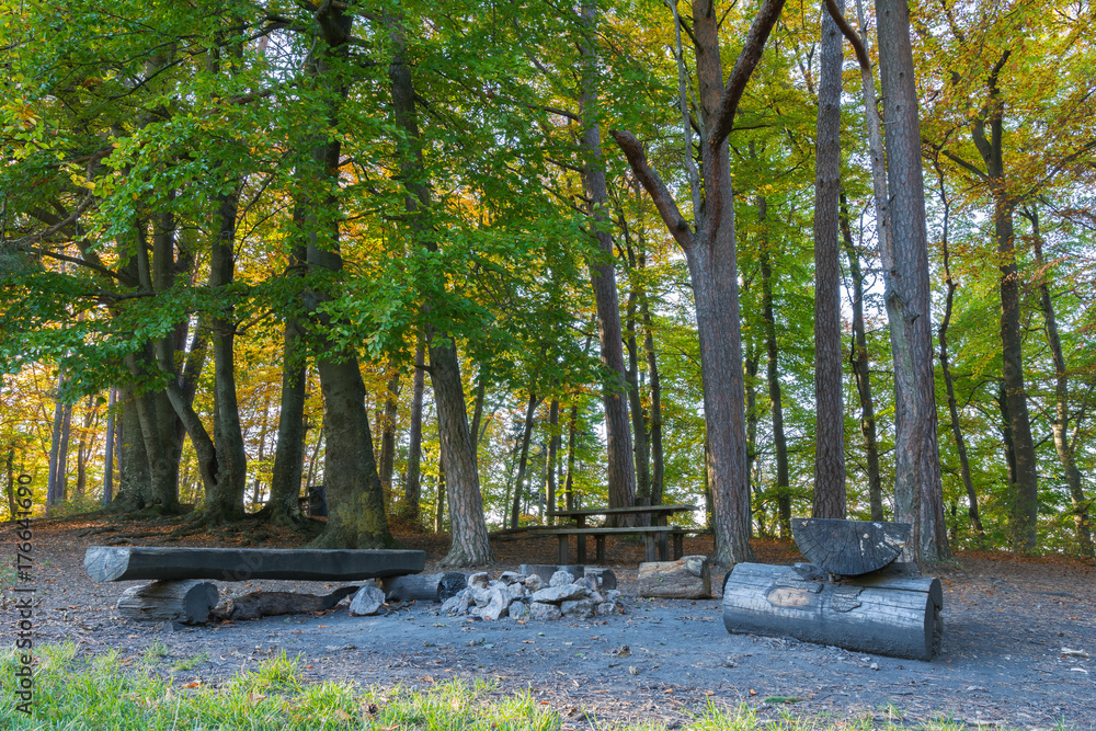 Grillplatz mit Feuerstelle im Wald Grillplatz mit Feuerstelle im Wald