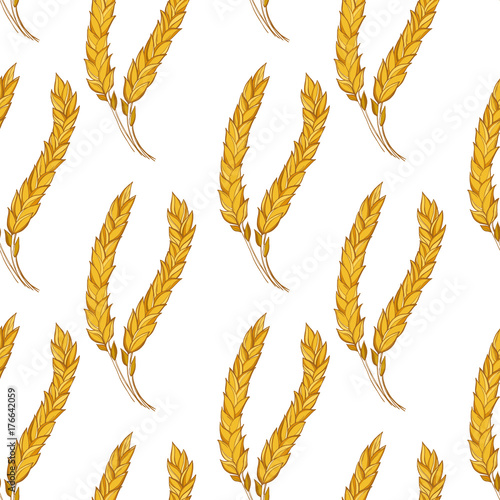 Seamless vector ornament from the image of wheat ears on a white background. Elegant stylized vector decor for farming, harvesting, agriculture, Thanksgiving, bakeries, organic food.
