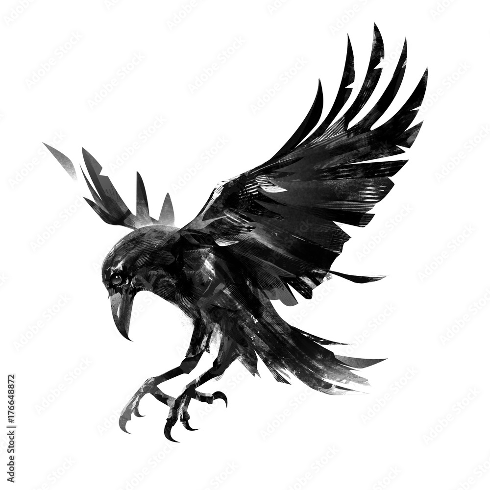 Flying Crow Drawing
