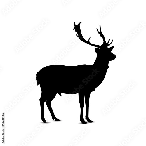 Silhouette of looking deer. © yik2007