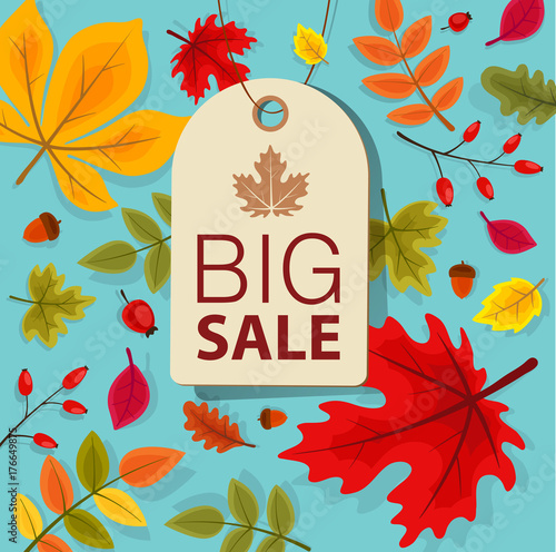 Sale autumn background with leaves