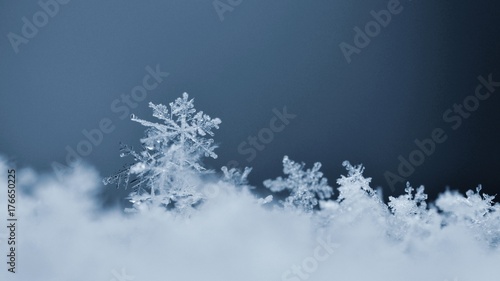 Snowflake. Macro photo of real snow crystal. Beautiful winter background seasonal nature and the weather in winter.