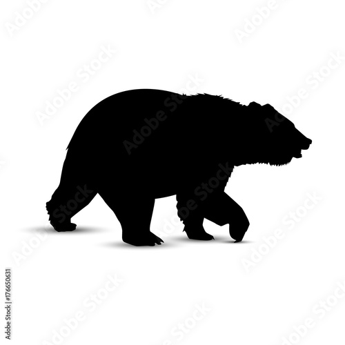 Silhouette of brown  bear.