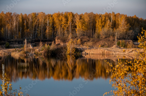 pond on the background of autumn forest