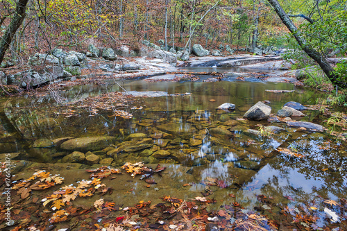 Pickle Creek in Hawn State Park  St. Genevieve  Missouri.