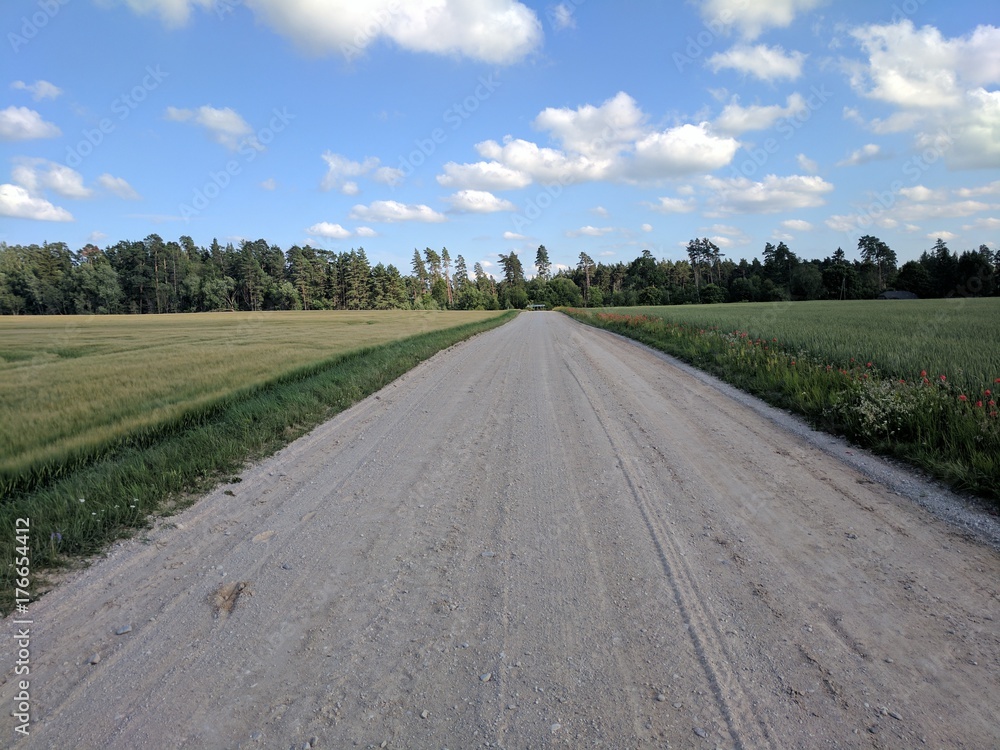 Naklejka premium landscape