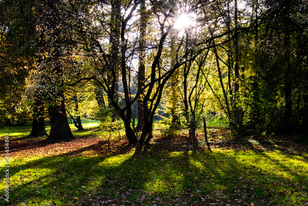 Obraz premium Herbsttag