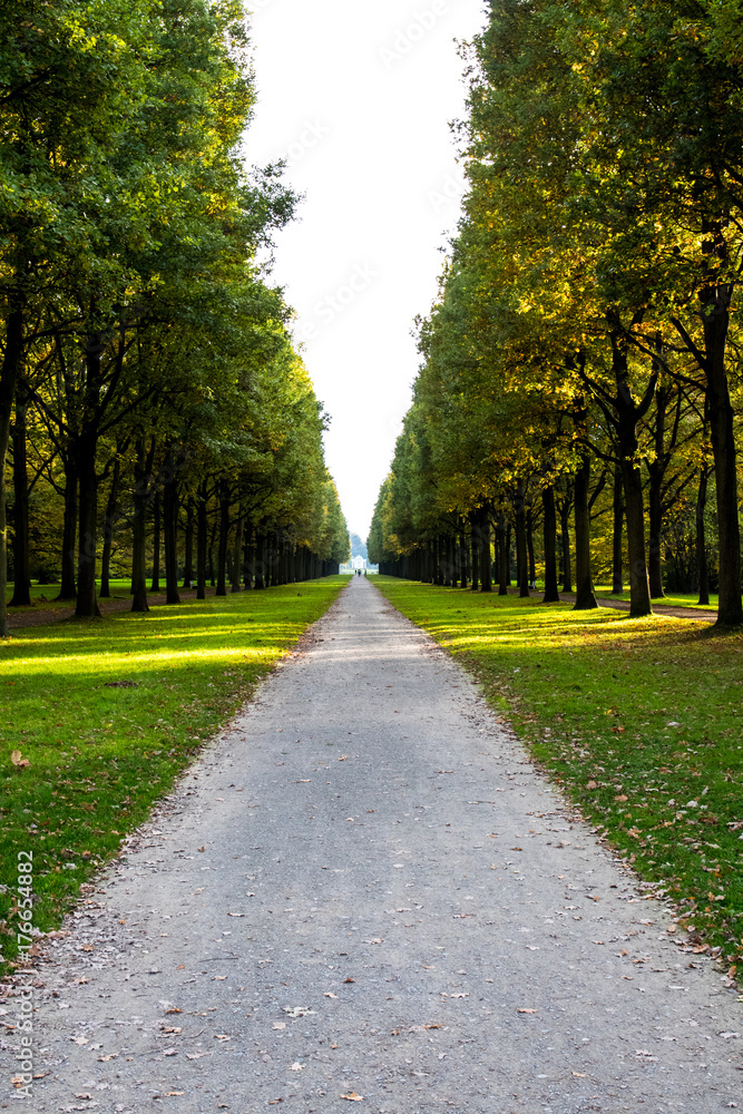 Fototapeta premium Allee im Herbst