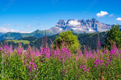 Chablais Alps with Dents Blanches mountain in the background,  Switzerland © salparadis