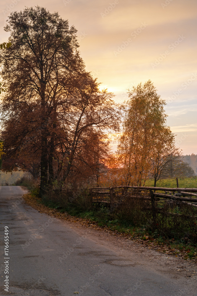 Fototapeta premium Rural autumn landscape at sunset time.