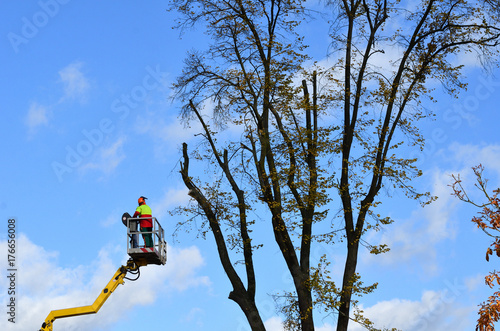 Arbeiter beim Beschneiden eines Baumes nach Sturm Herbst 2017 Berlin Brandenburg