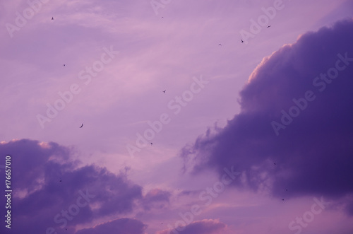 Slika na platnu Fairylike landscape in pink tones (mountains hiding in clouds at dawn and beauti