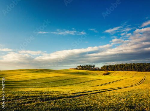 Hügelige Gras Landschaft mit blauem Himmel