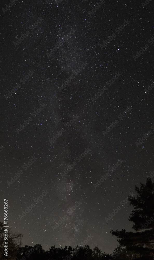 Naklejka premium The Milky Way at Six Mile Lake Provincial Park