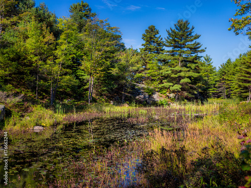 David Milne Pond