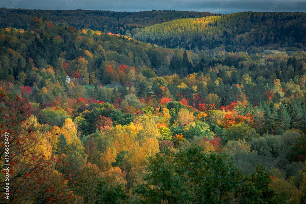  Picturesque view on valley of Gaujas national park. Trees changing colors in foothills.  Colorful Autumn day at city Sigulda in Latvia. 