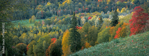  Picturesque view on valley of Gaujas national park. Trees changing colors in foothills.  Colorful Autumn day at city Sigulda in Latvia.  photo