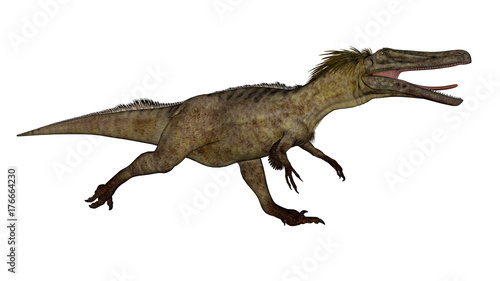 Austroraptor dinosaur -3D render