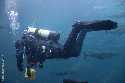 Diver in an aquarium.