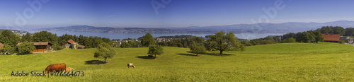 Zurich canton landscape, Switzerland