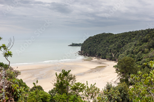 Deserted beach surrounded by rainforest