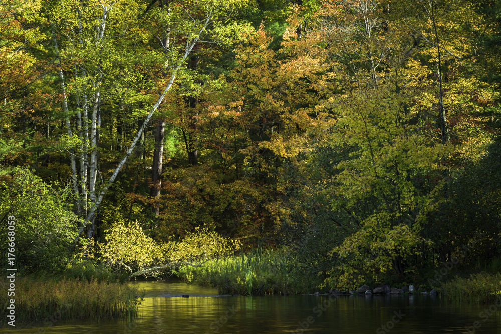 Autumn Morning. Early light on the shoreline of Plum Lake on a crisp October morning. Vilas County, Wisconsin. Autumn Morning. Early light on the shoreline of Plum Lake on a crisp October morning. Vilas County, Wisconsin.