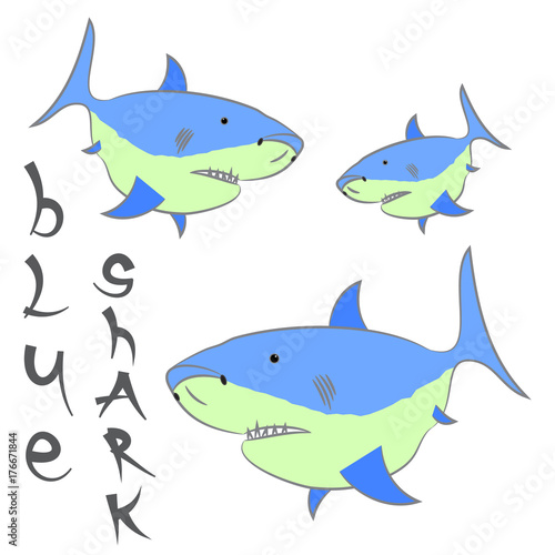 shark blue vector 