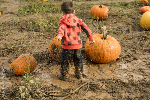 Valokuva Muddy puddles