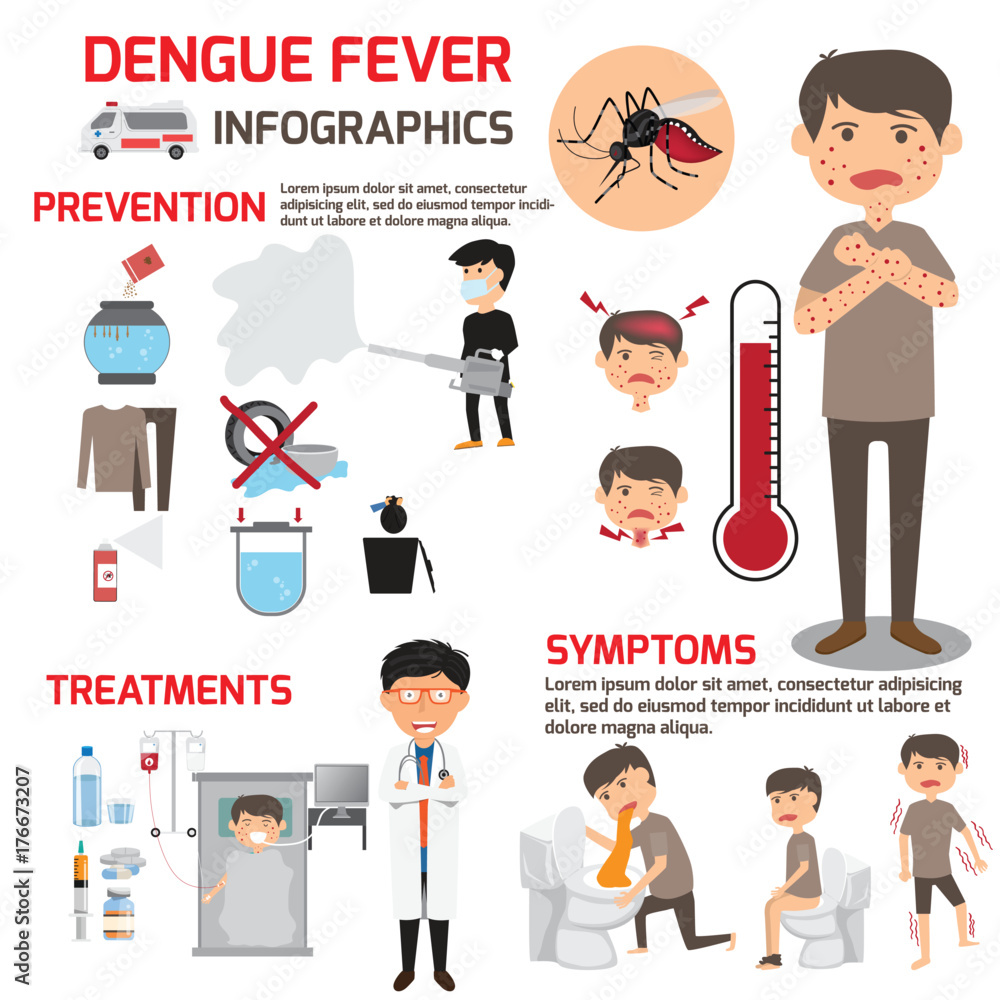 Template design of details dengue fever or flu and symptoms with prevention  infographics. health care cartoon vector illustration. Stock Vector | Adobe  Stock