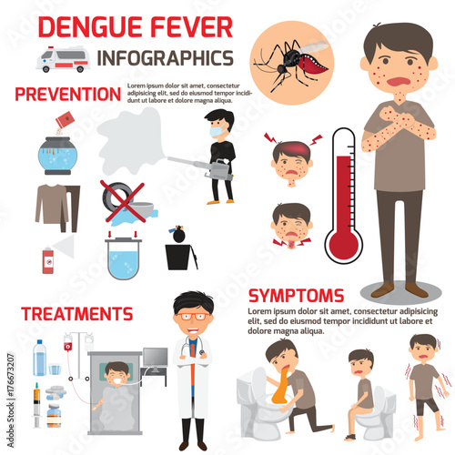 Template design of details dengue fever or flu and symptoms with prevention infographics. health care cartoon vector illustration. photo