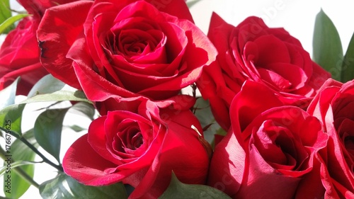 A bouquet of bright red roses