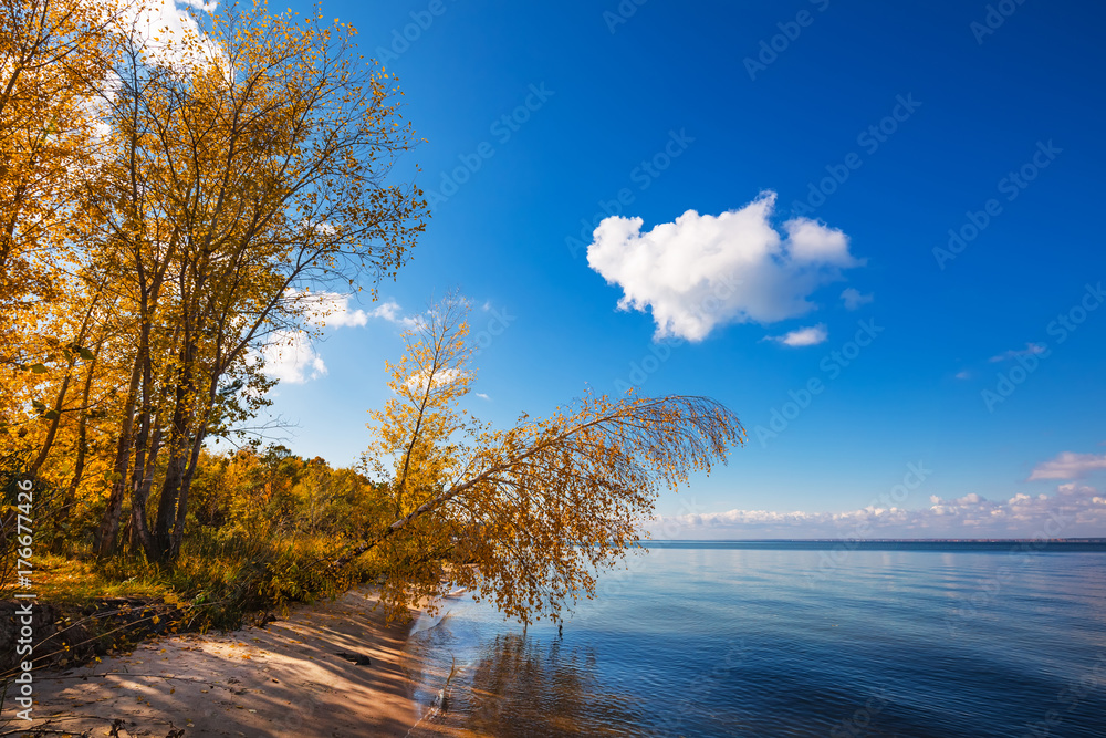 Autumn landscape. Ob reservoir, Novosibirsk region, Berdsk, Siberia, Russia
