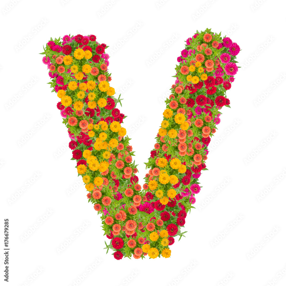 V Alphabet Letter