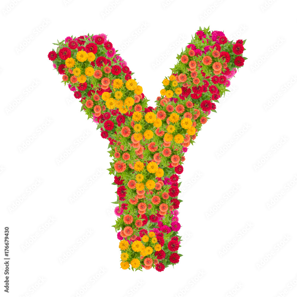 Letter M alphabet made from zinnia flower ABC concept type as logo. Typography design