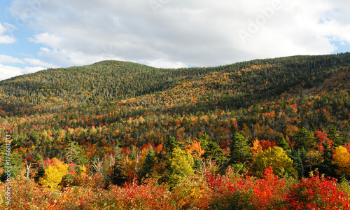 autumn mountain forest with colorful trees
