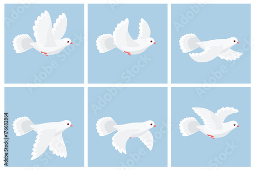 Cartoon flying dove animation sprite sheet photo