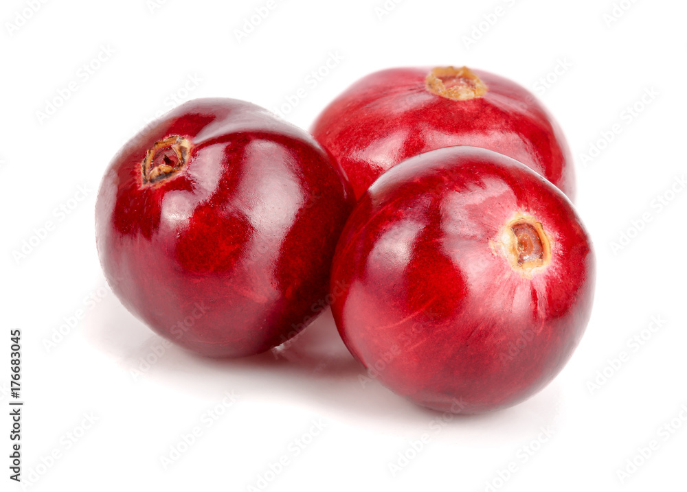 Cranberry isolated on white background closeup macro Cranberry isolated on white background closeup macro