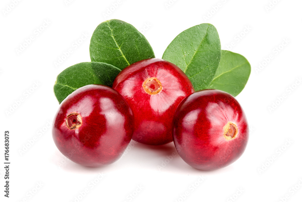Cranberry with leaf isolated on white background closeup macro Cranberry with leaf isolated on white background closeup macro