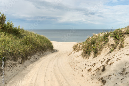 Obraz na płótnie way to the beach w salonie
