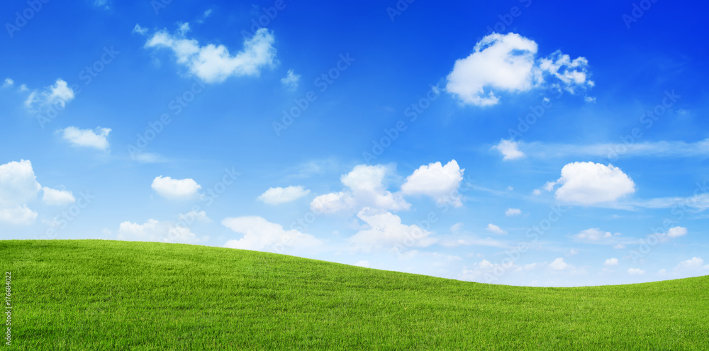 Green Field and blue sky - obrazy, fototapety, plakaty 