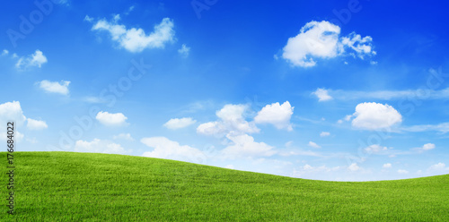 Photographie Green Field and blue sky